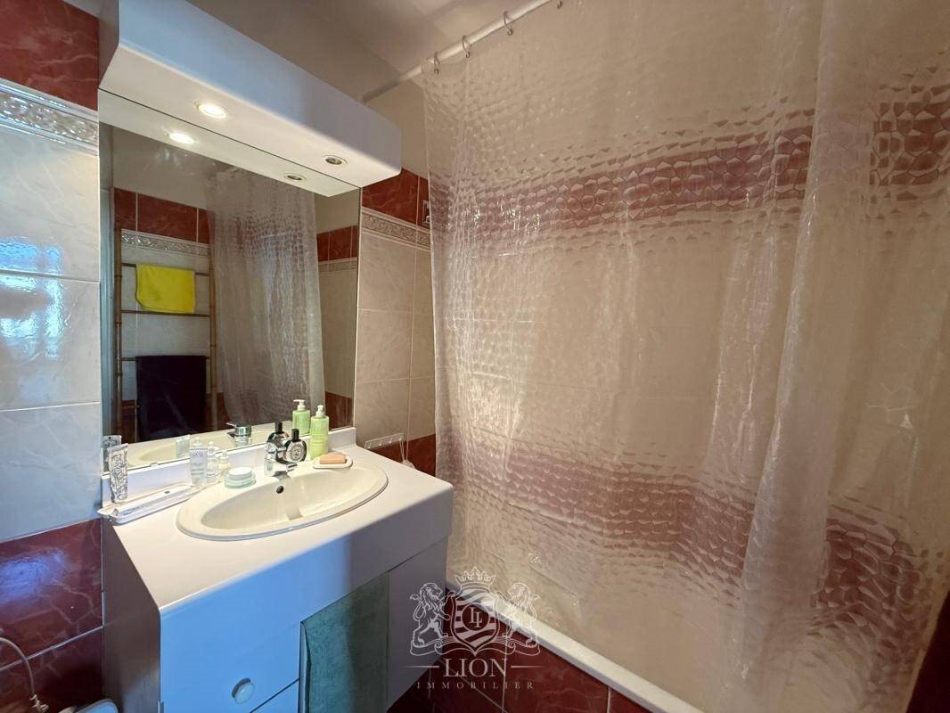 Appartement à louer, 44m², Lille