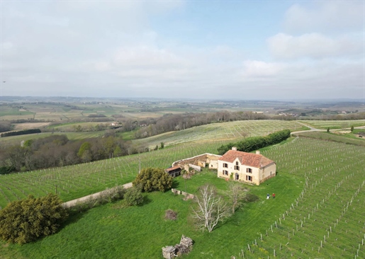 Encantadora casa de campo en Saint-Lanne con pozos disponibles