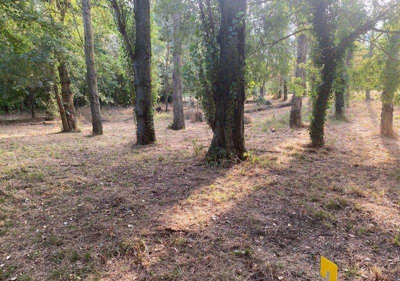 Maison à vendre, 3862m², Toulouse