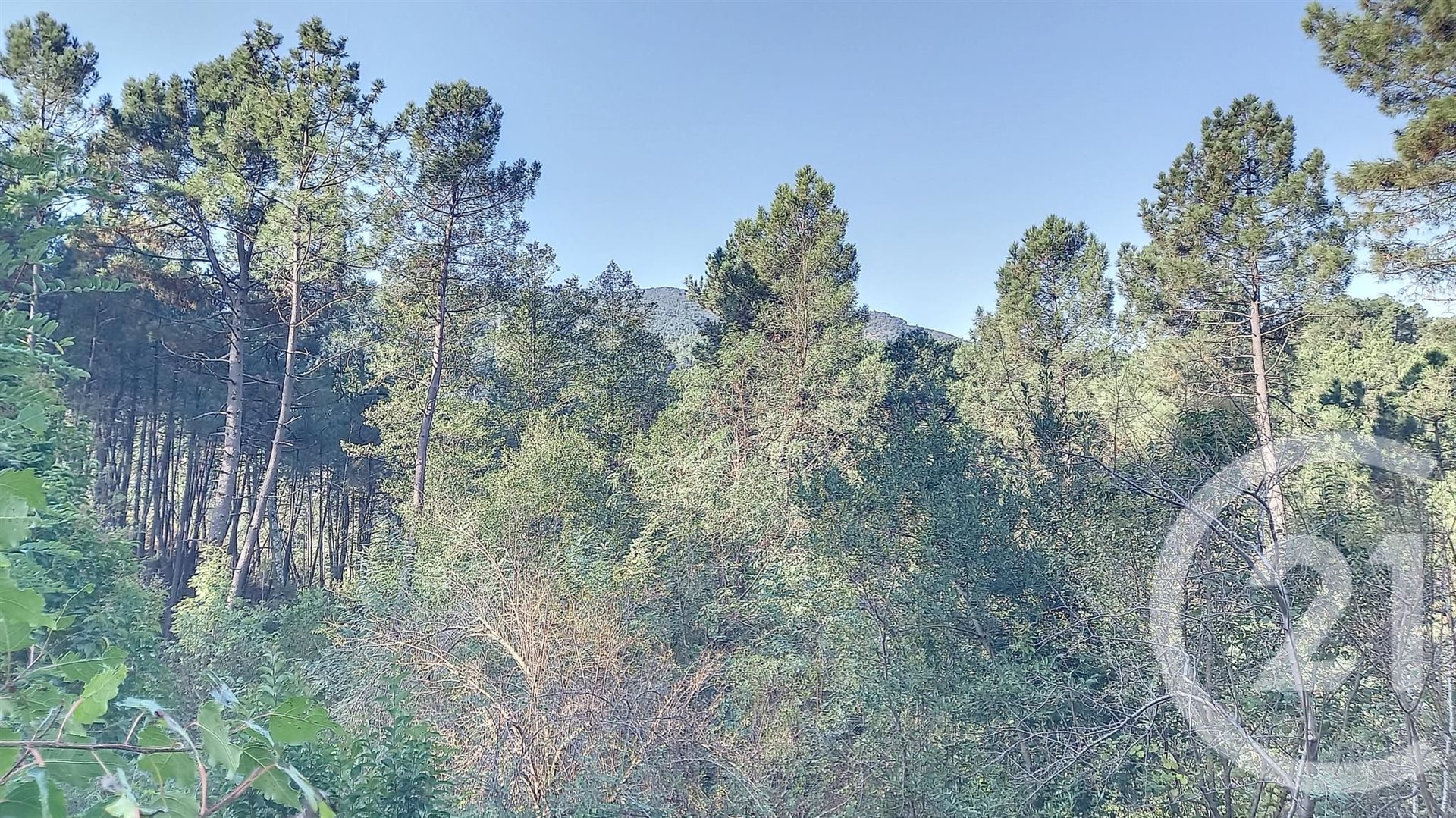 Appartement à vendre, 214m², Sainte-Cécile-d'Andorge