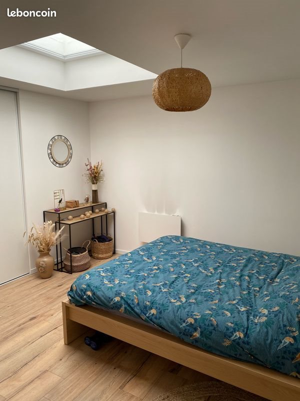 Appartement à louer, 53m², Saint-Etienne