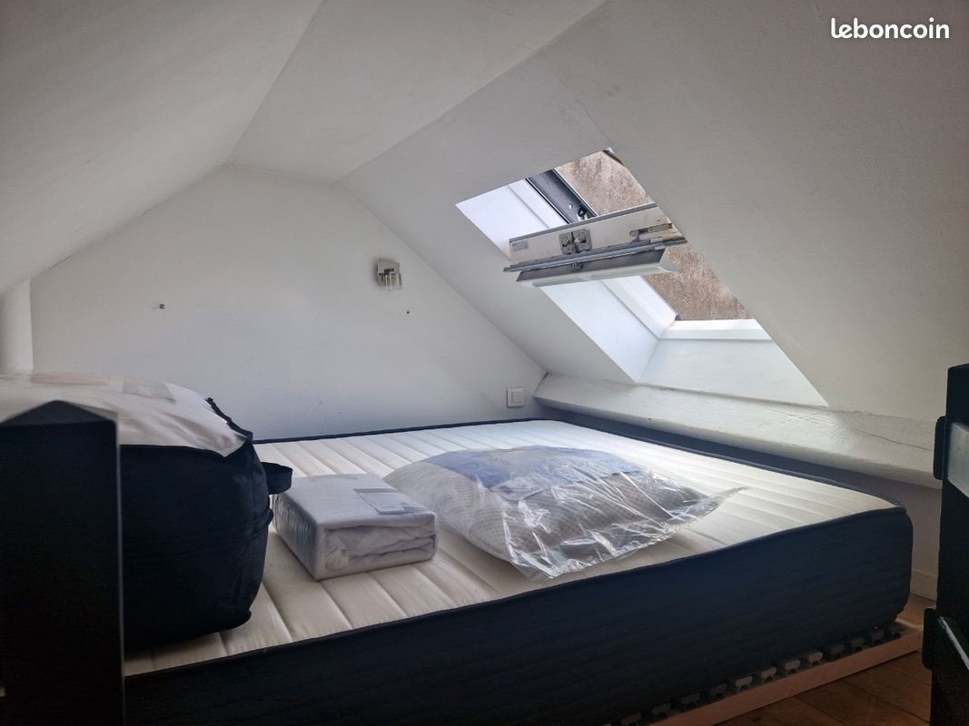 Appartement à louer, 20m², Lille