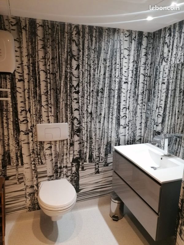 Appartement à vendre, 52m², Saint-Etienne