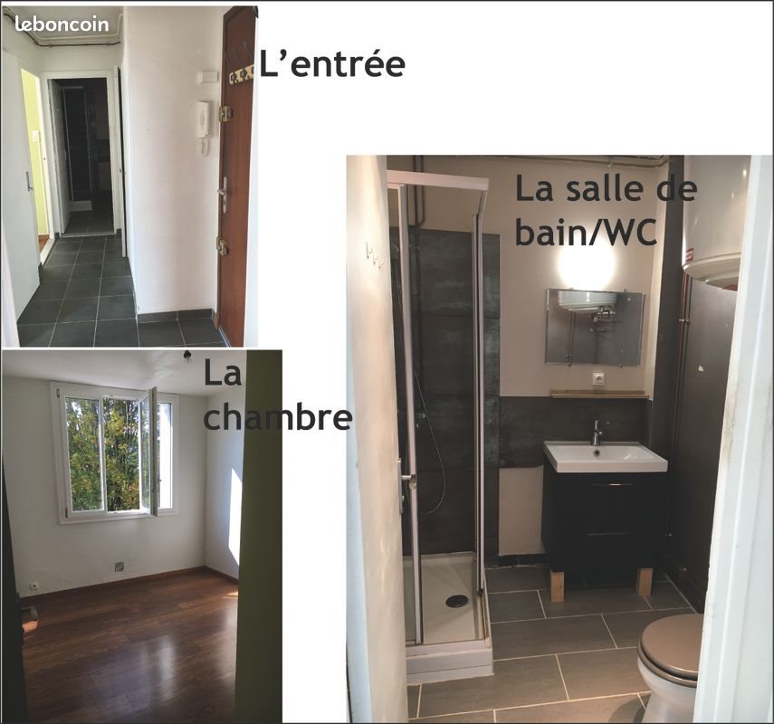 Appartement à vendre, 40m², Grenoble