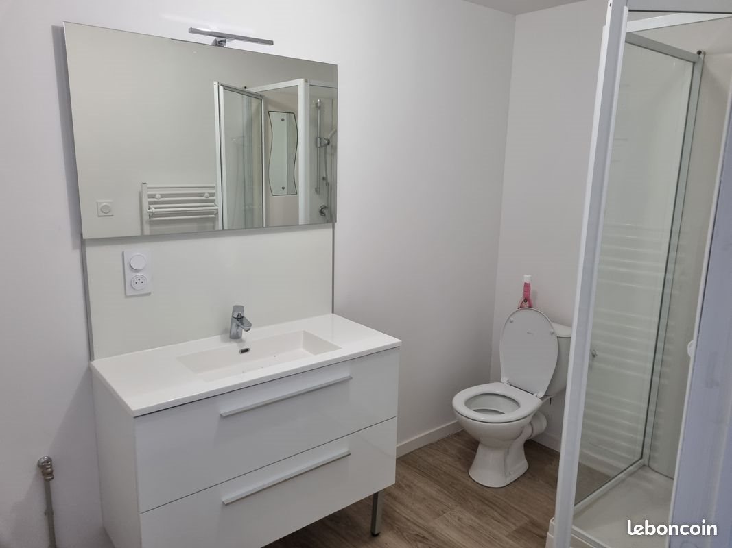 Appartement à louer, 28m², Nesmy