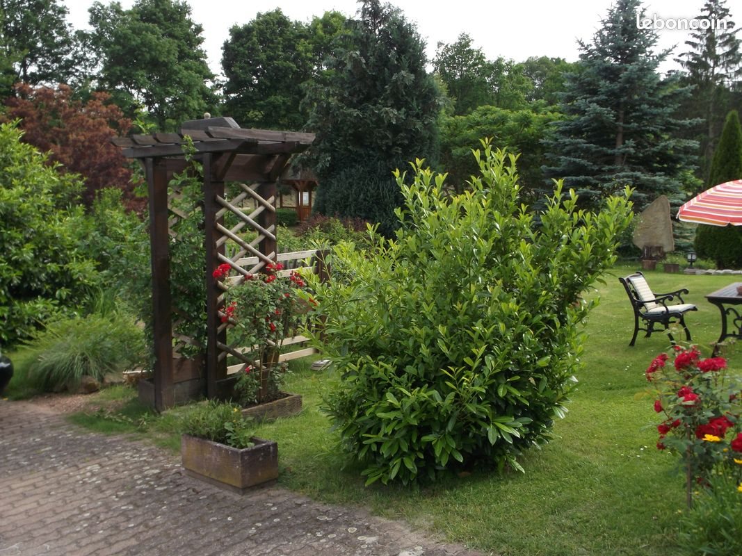 Maison à louer, 60m², Dambach