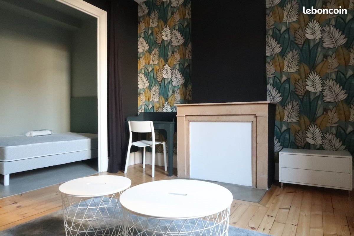 Appartement à louer, 36m², Saint-Etienne