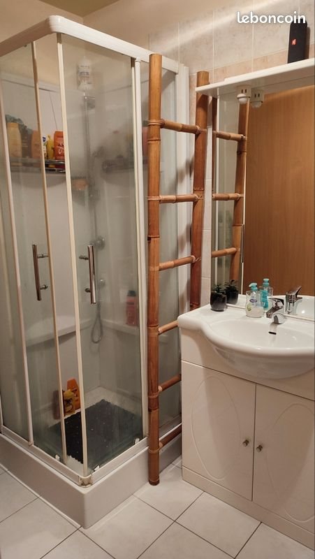 Appartement à louer, 50m², Langueux