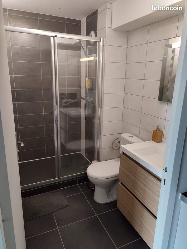Appartement à vendre, 33m², Grenoble