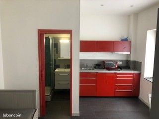 Appartement à louer, 17m², Lille