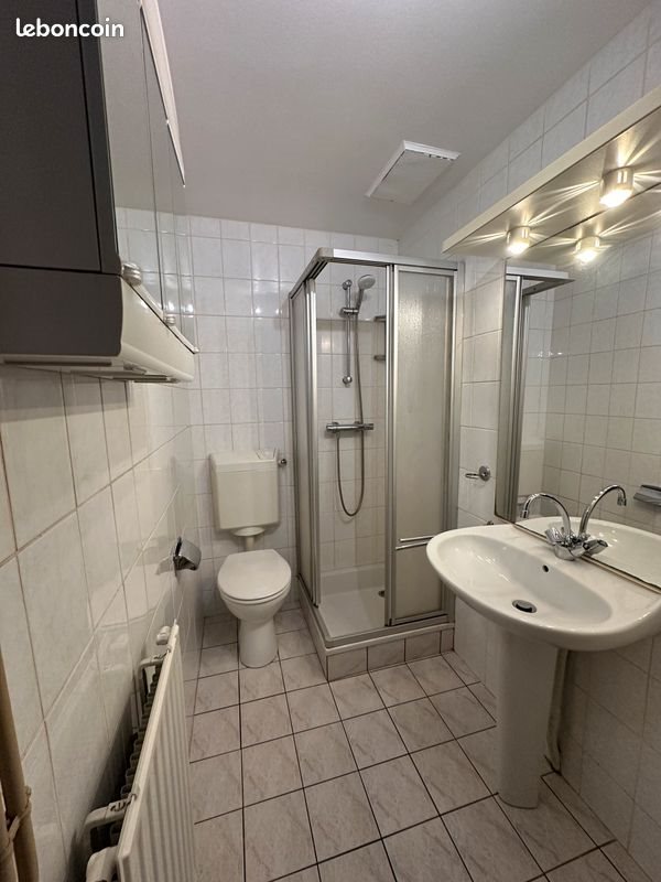 Appartement à louer, 22m², Cusset