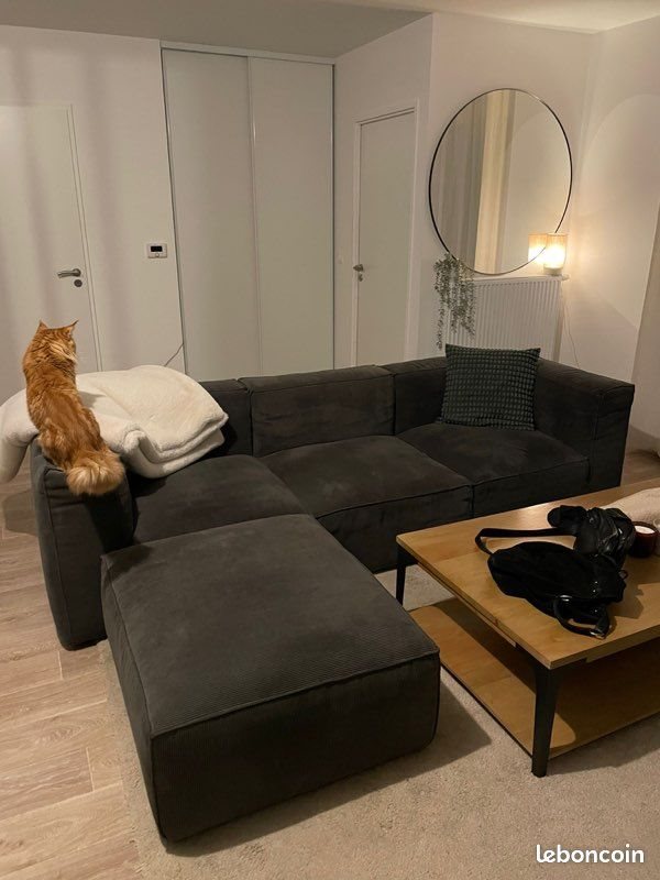 Appartement à louer, 42m², Tours