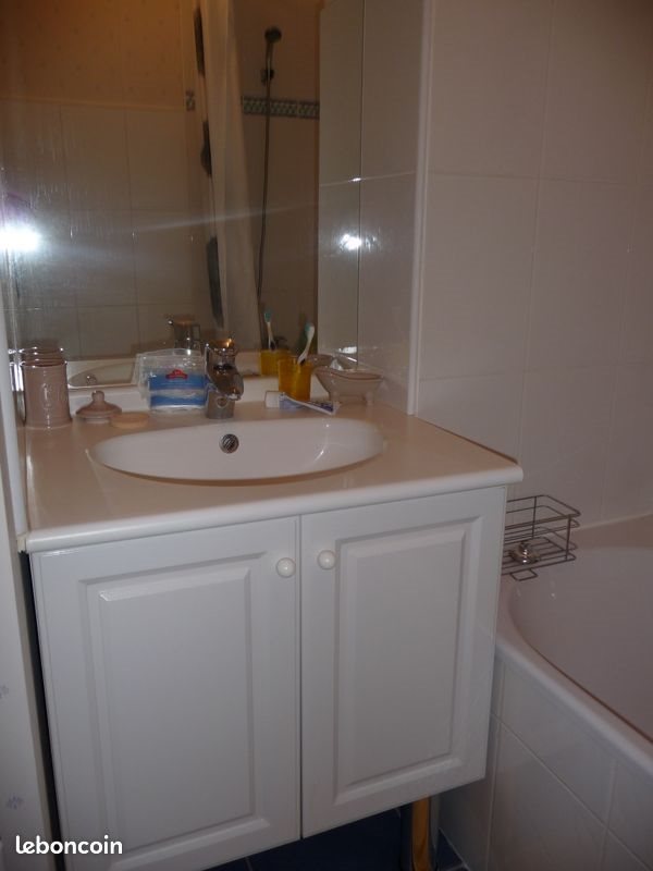 Appartement à louer, 45m², Nantes