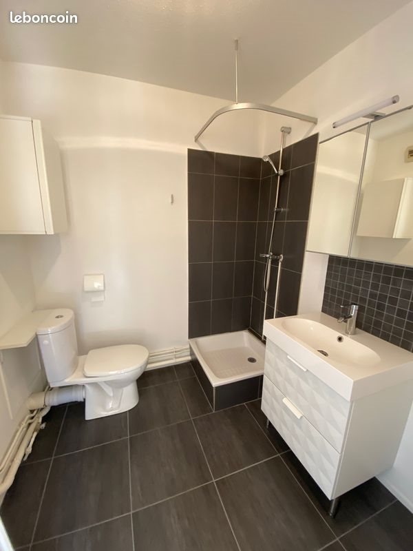 Appartement à louer, 21m², Lille