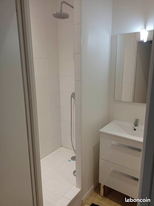 Appartement à louer, 23m², Saint-Etienne