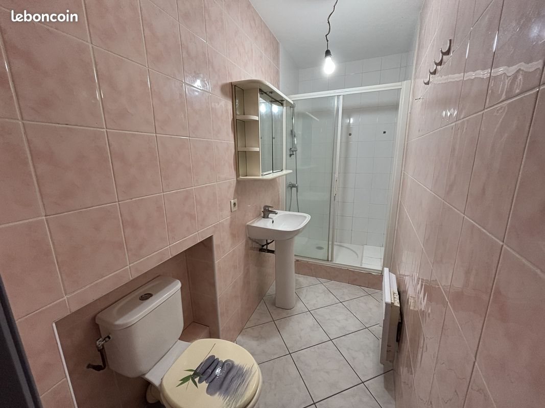 Appartement à louer, 50m², Guilherand-Granges