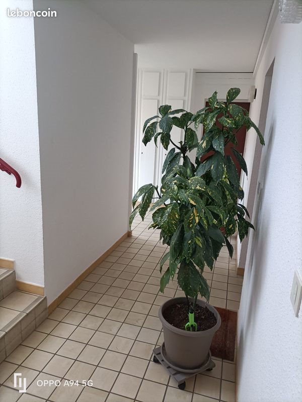 Appartement à vendre, 46m², Le Teil