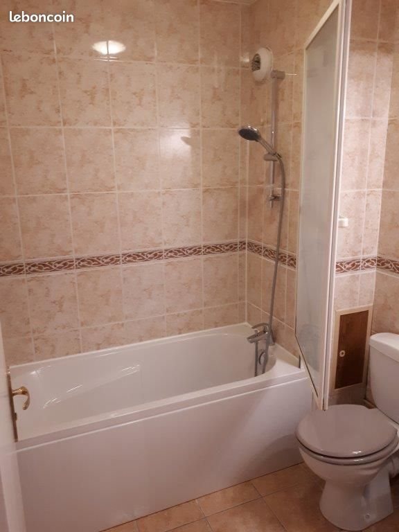 Appartement à louer, 49m², Lille