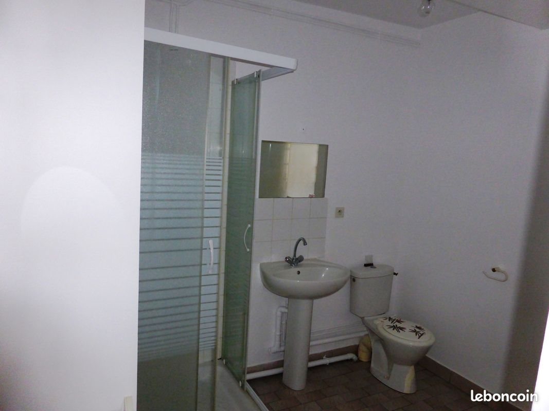 Appartement à louer, 41m², Châteauneuf-sur-Loire