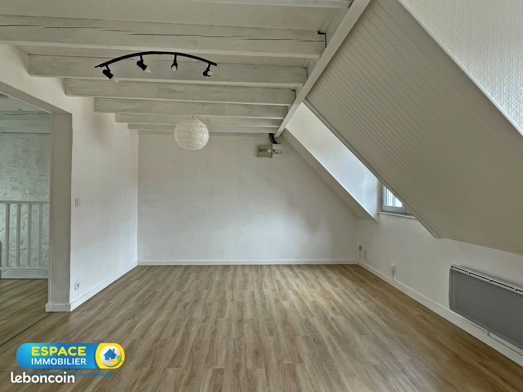 Appartement à louer, 44m², Châteauneuf-sur-Loire