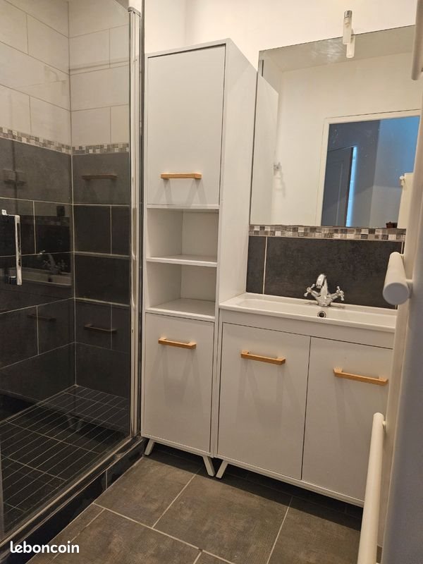 Appartement à louer, 38m², Vichy