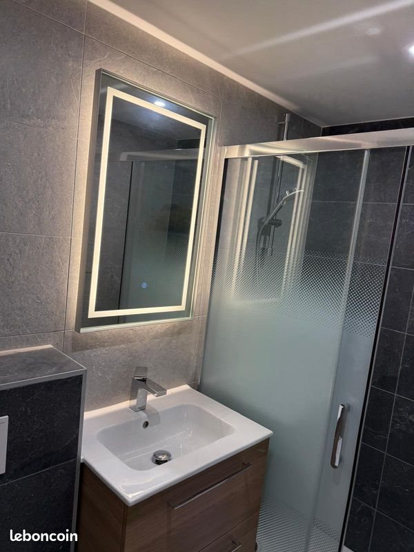 Appartement à louer, 79m², Brenthonne