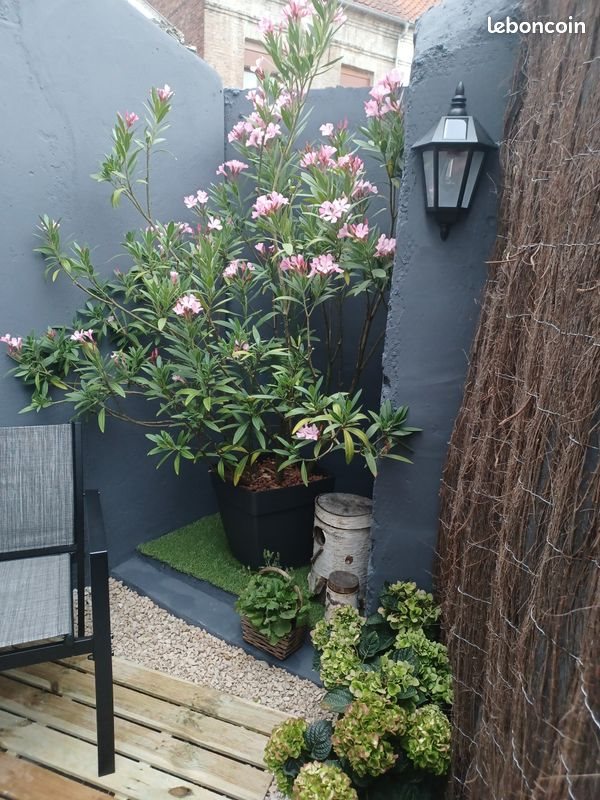 Maison à louer, 45m², Lillers