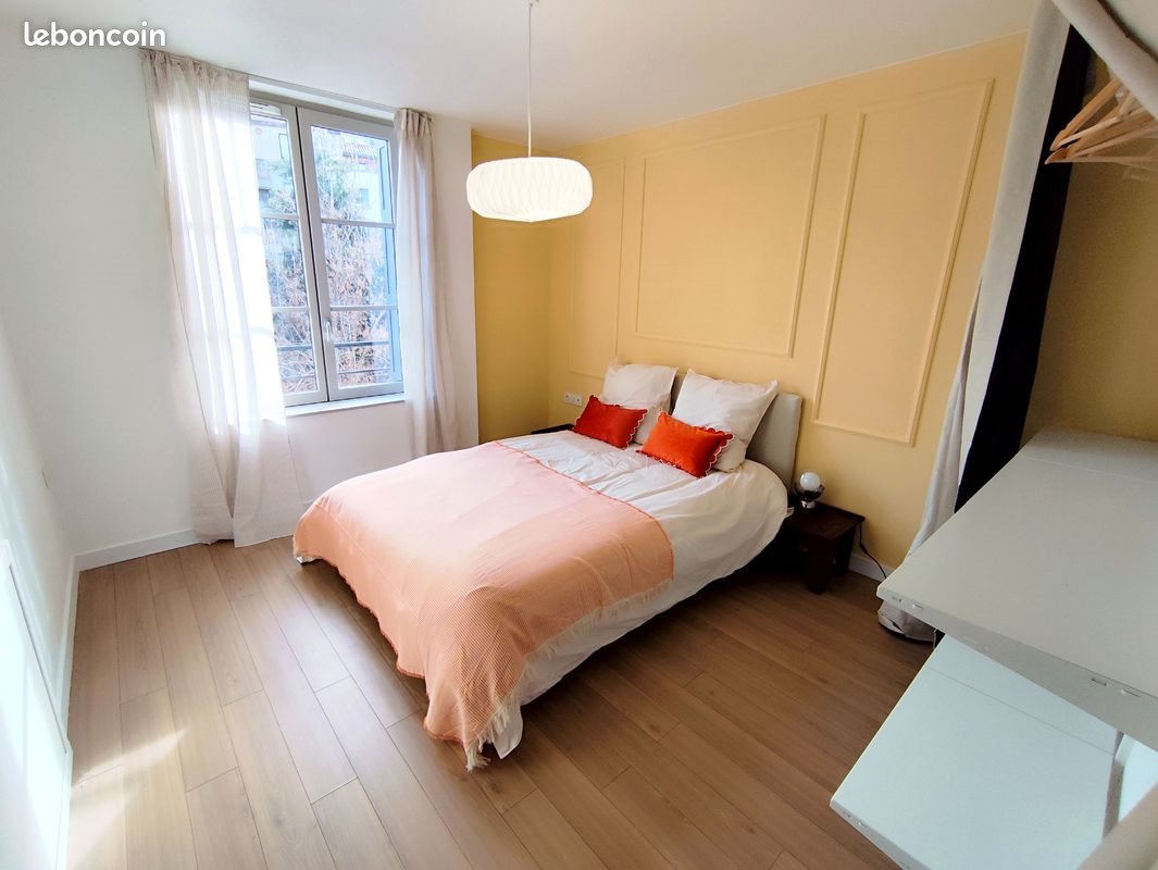 Appartement à louer, 54m², Saint-Etienne