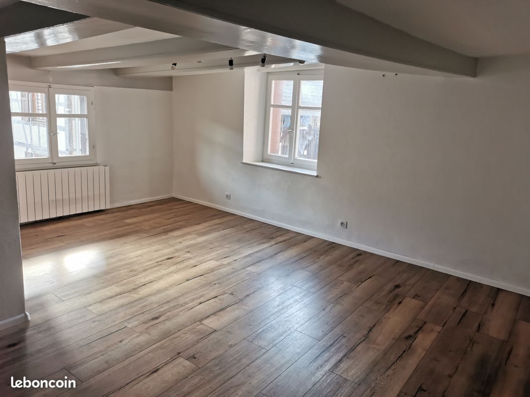 Appartement à louer, 100m², Buschwiller