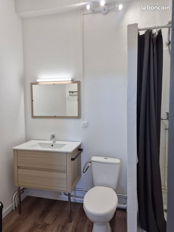 Appartement à louer, 17m², Lille