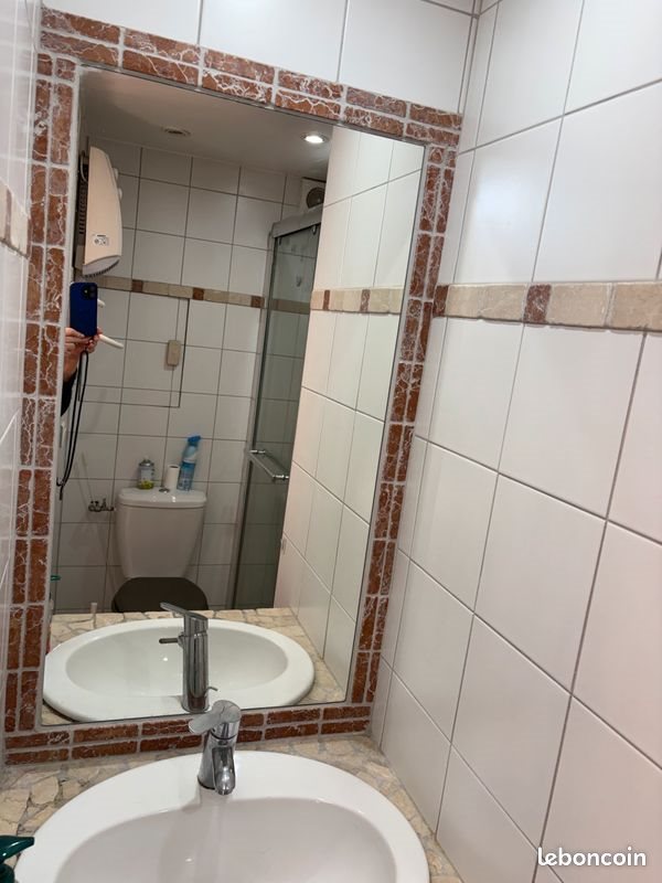 Appartement à louer, 32m², Meylan