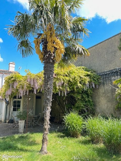 Appartement à louer, 30m², Talmont-Saint-Hilaire