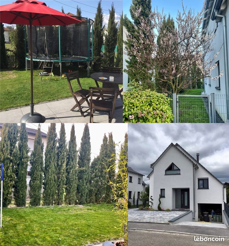 Maison à vendre, 140m², Gambsheim