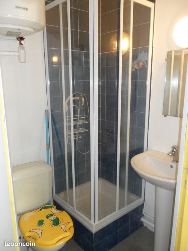 Appartement à louer, 19m², Grenoble