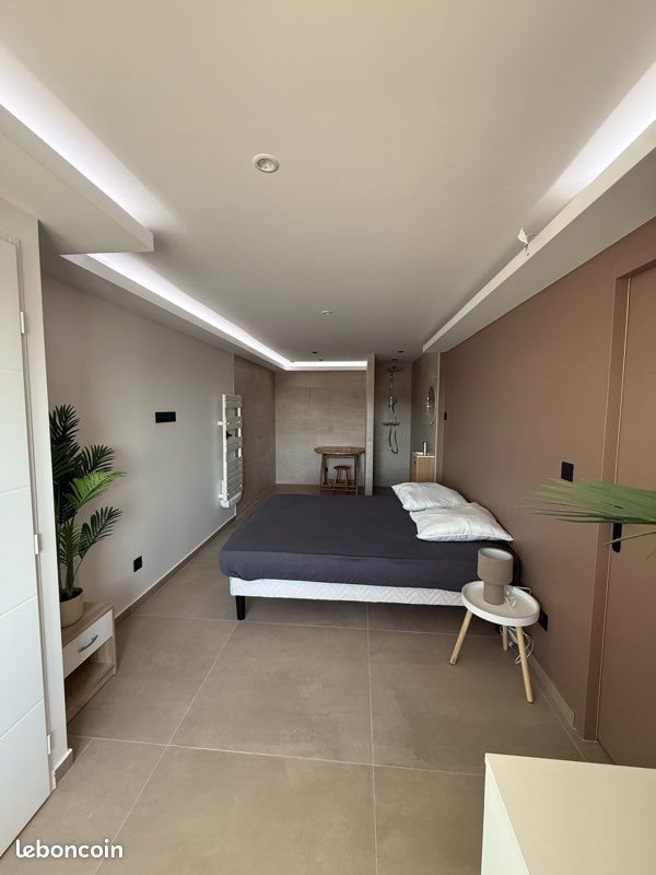 Appartement à louer, 35m², Saint-Etienne