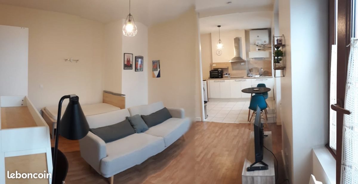 Appartement à louer, 31m², Saint-Etienne