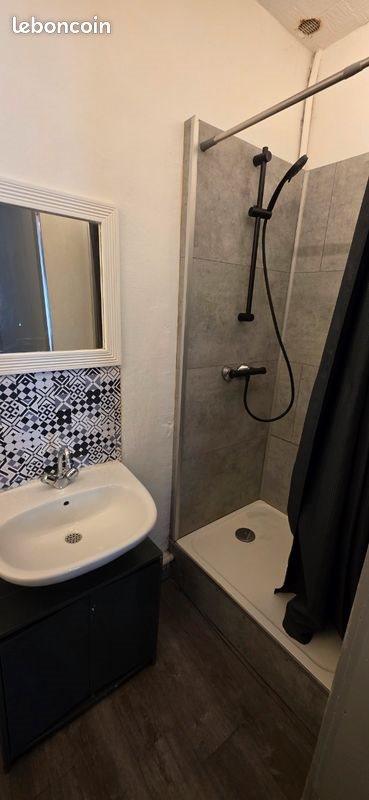 Appartement à louer, 40m², Saint-Etienne