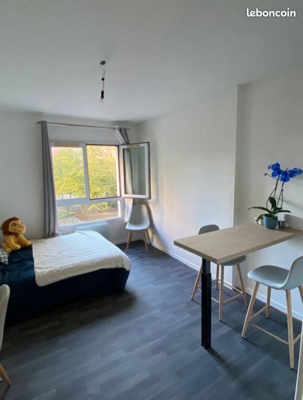 Appartement à louer, 19m², Lille