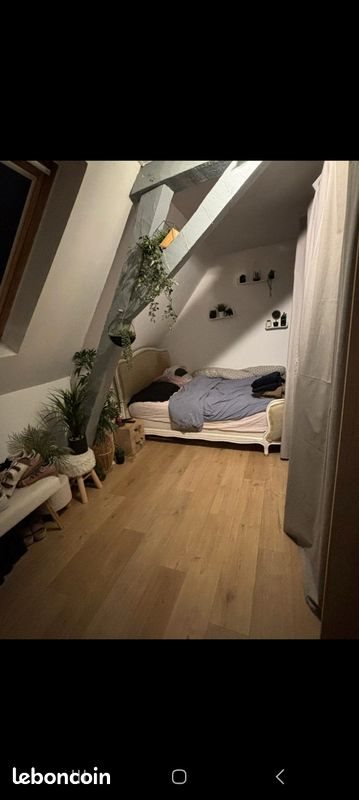 Appartement à louer, 62m², Saint-Amand-les-Eaux