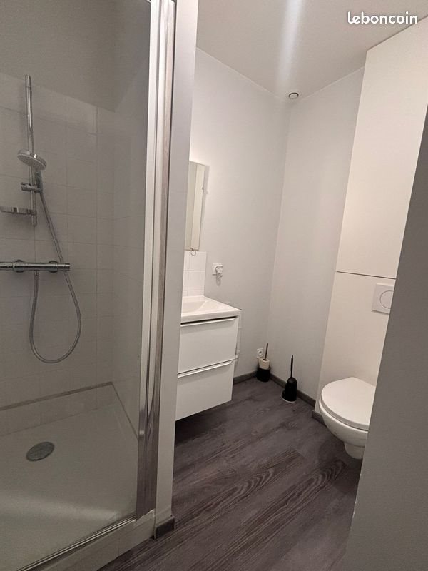 Appartement à louer, 30m², Saint-Etienne