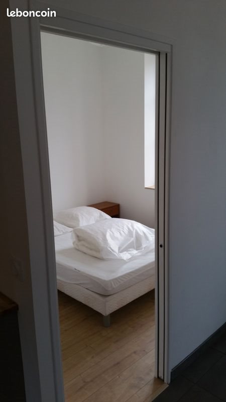 Appartement à louer, 42m², Saint-Etienne