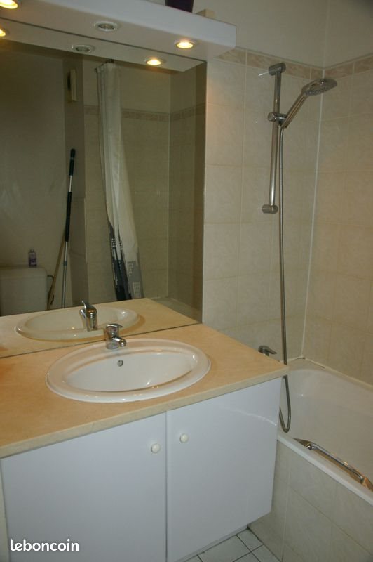 Appartement à louer, 25m², Maisons-Alfort