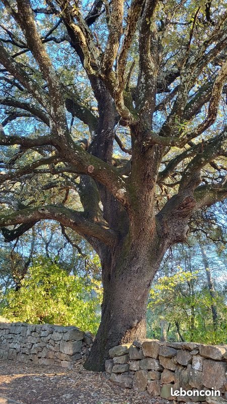 Maison à vendre, 106m², Entrecasteaux