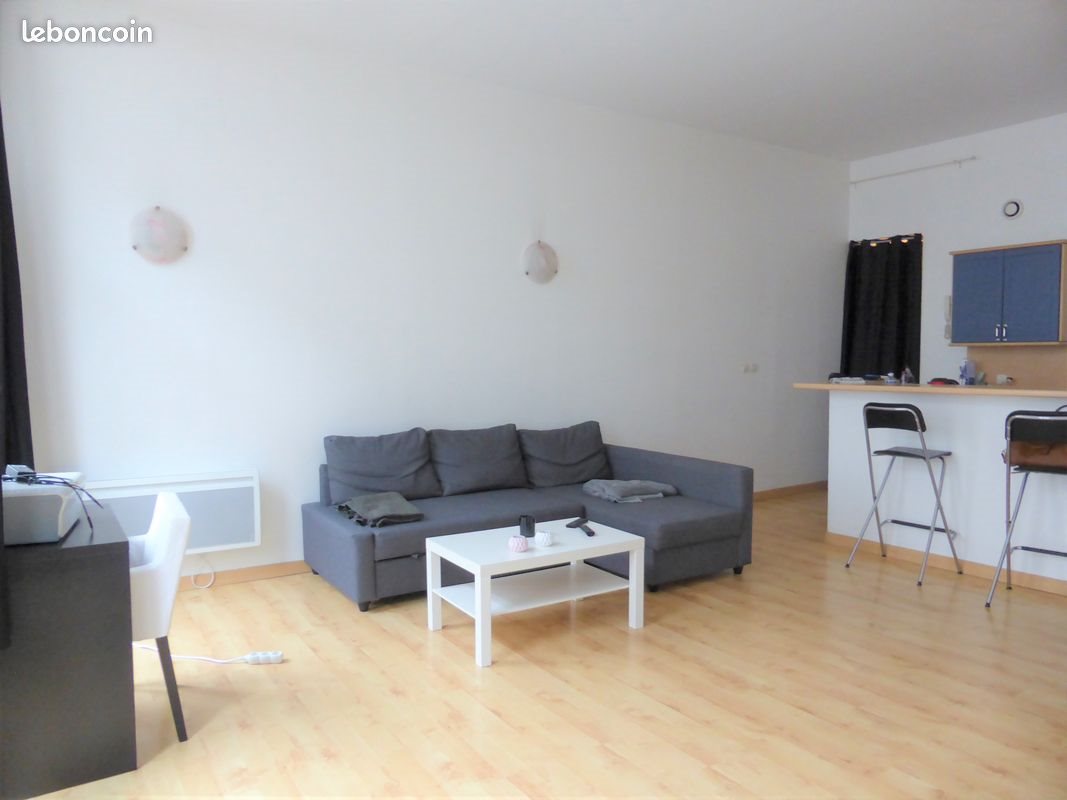 Appartement à louer, 59m², Lille