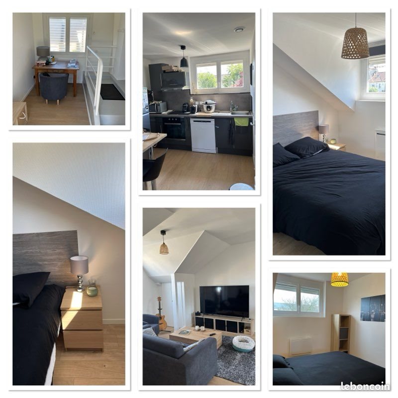 Appartement à louer, 60m², Le Mans