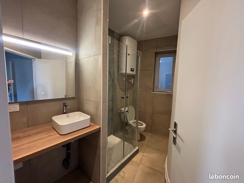 Appartement à louer, 44m², Saint-Etienne