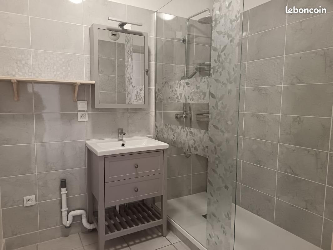 Appartement à louer, 49m², Albertville