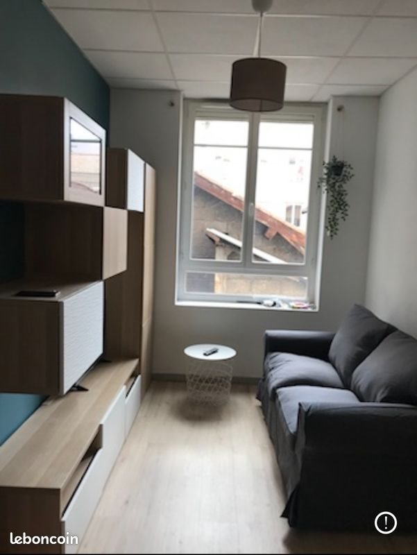 Appartement à louer, 28m², Saint-Etienne