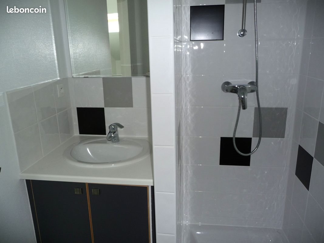 Appartement à louer, 32m², Saint-Etienne