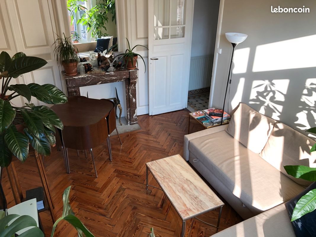 Appartement à louer, 54m², Lille